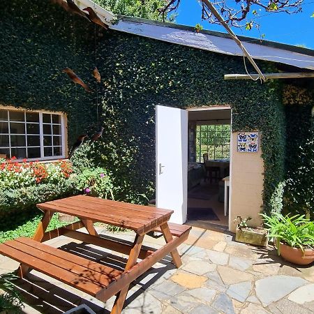 הימוויל Yellowwood Cottage מראה חיצוני תמונה