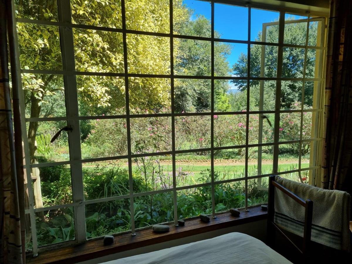 הימוויל Yellowwood Cottage מראה חיצוני תמונה